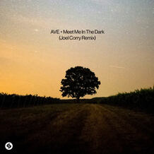 Meet Me In The Dark (Joel Corry Remix)