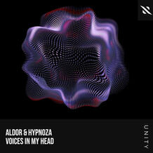 Voices In My Head