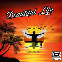 Beautiful Life