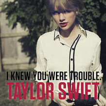 I Knew You Were A Trouble