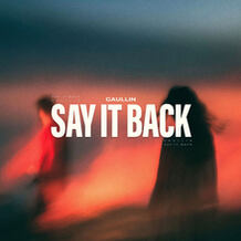 Say It Back