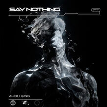 Say Nothing