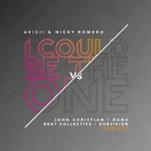 I Could Be The One (Remixes)