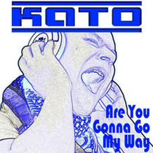 Are You Gonna Go My Way