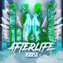 Afterlife