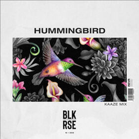 Hummingbird (KAAZE Remix)
