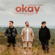 Okay (Afrojack Remix)