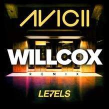 Levels (Willcox 2k17 Re-Edit)