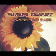 Pumpin The Bass