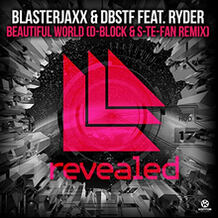 Beautiful World (D-Block & S-te-Fan Remix)